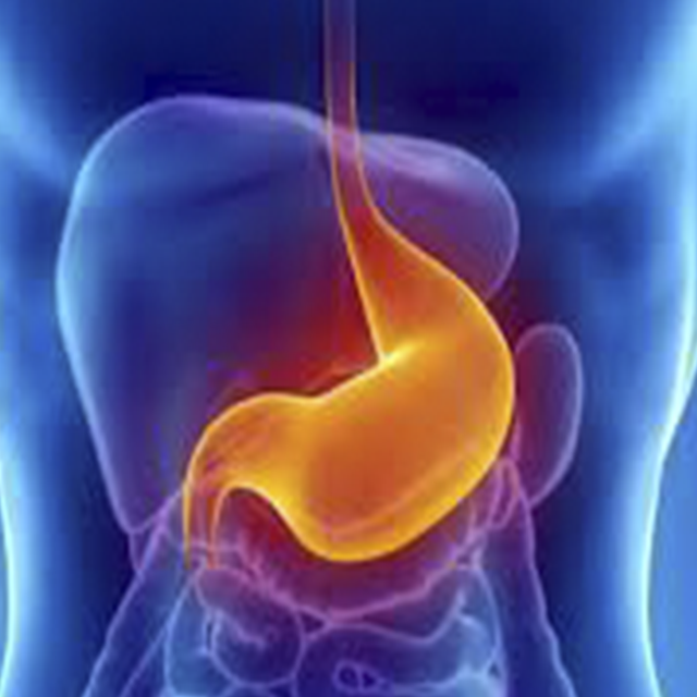 gastro