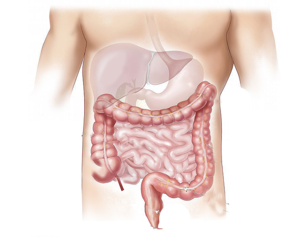 Gastroenterologija