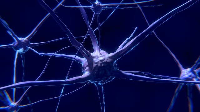 neuro hirurgija