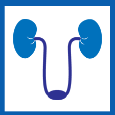 urologija