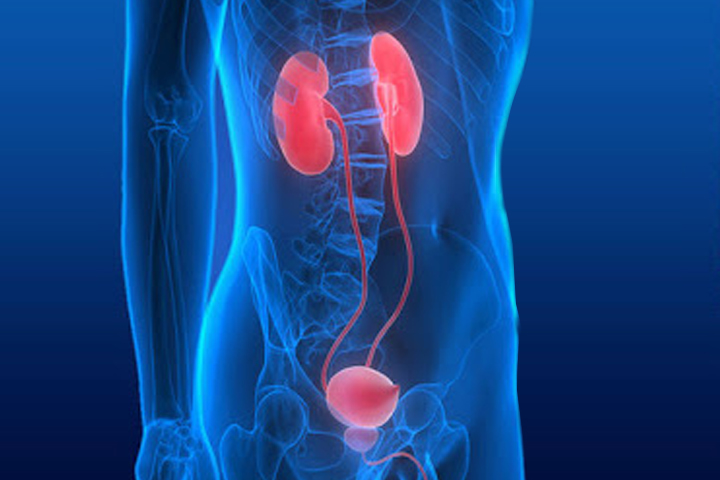urology