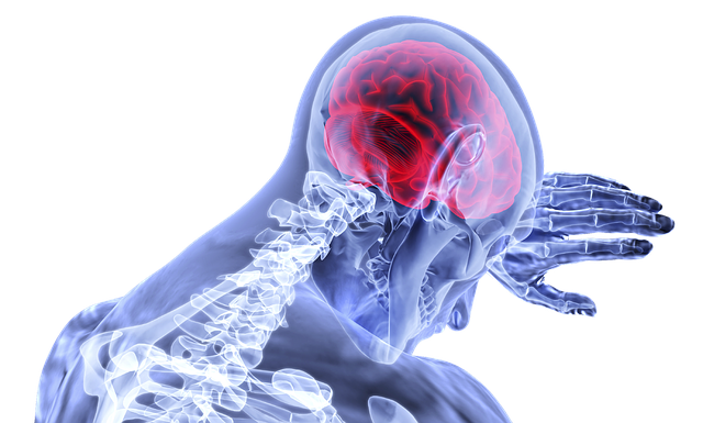neurologija